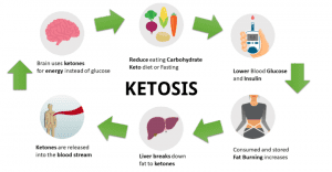 Ketosis Infographic